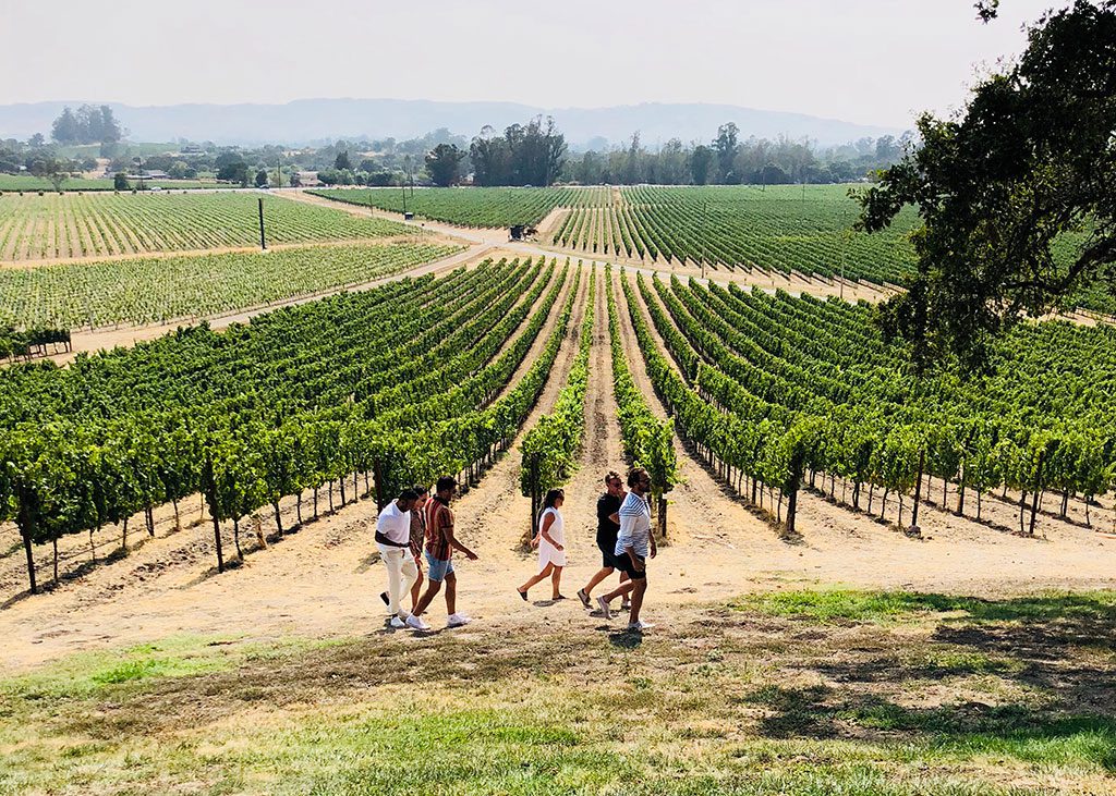 Sonoma Valley Wineries