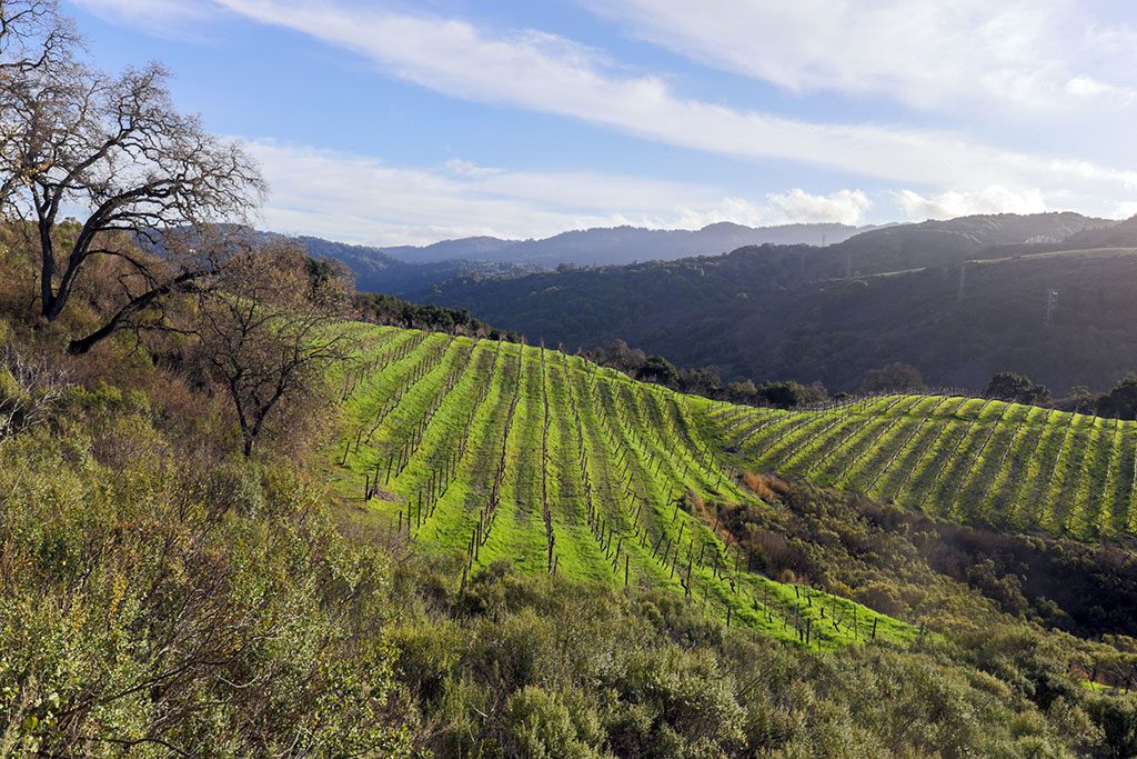 Santa Cruz Wineries