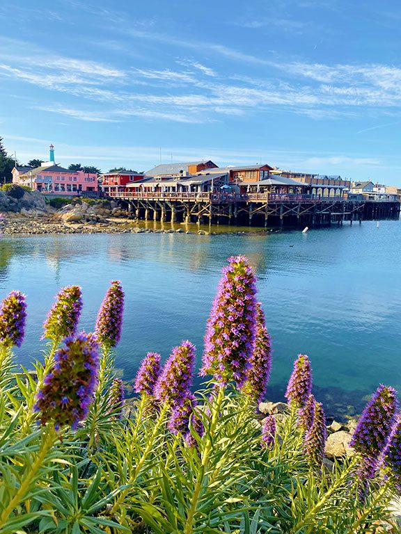 Old Fisherman's Wharf in Monterey CA
